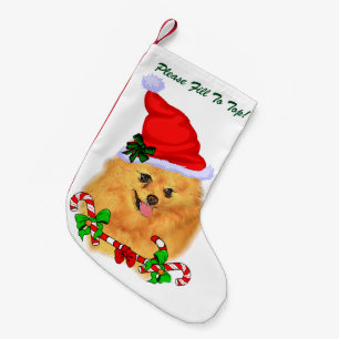 Spitz-Weihnachten Kleiner Weihnachtsstrumpf