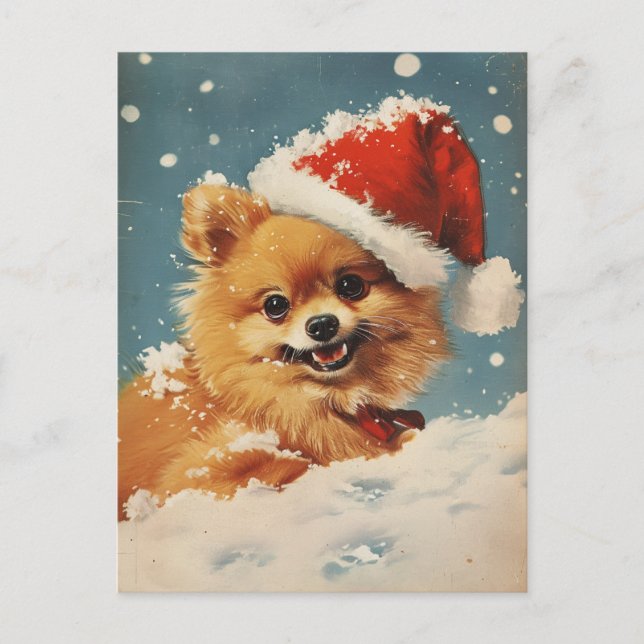 Spitz Weihnachten Postkarte (Vorderseite)