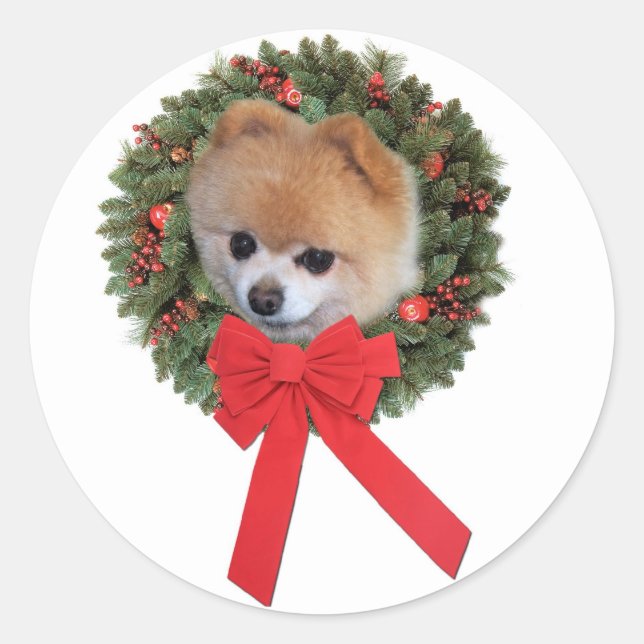 Spitz Weihnachtsaufkleber Runder Aufkleber (Vorderseite)