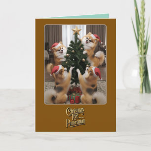 Spitz Weihnachtsbaum Karte