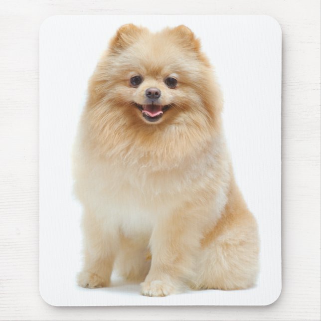 Spitz Welpe Hund Mousepad (Vorne)