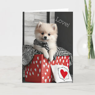 Spitz Welpe Valentine Card Dankeskarte