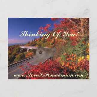 Spitz Zeus farbenfrohe Herbstlandschaft Postkarte