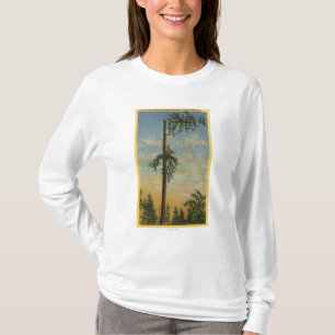 Spitze der riesigen Fichte für 200 ft.-Segeln T-Shirt