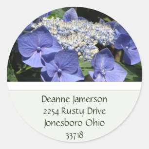 Spitze-Kappehydrangea-Adressen-Aufkleber Runder Aufkleber