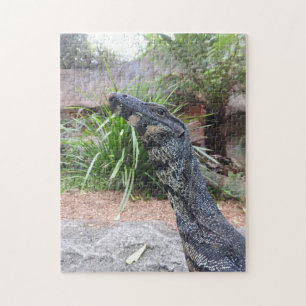 Spitze-Monitor-Puzzlespiel