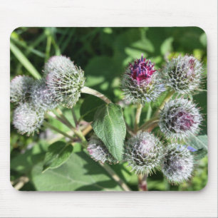 Spitze über dem Siegel Mousepad