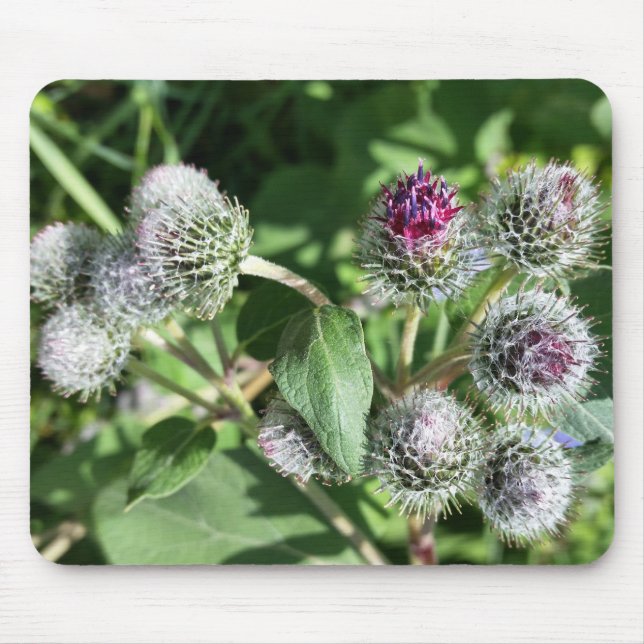 Spitze über dem Siegel Mousepad (Vorne)