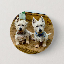 Spitze und polares button