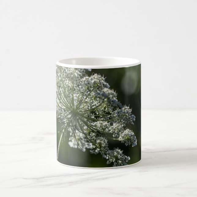 Spitze-weiße Wildblume-Tassen-Schale der Kaffeetasse (Mittel)
