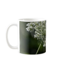 Spitze-weiße Wildblume-Tassen-Schale der