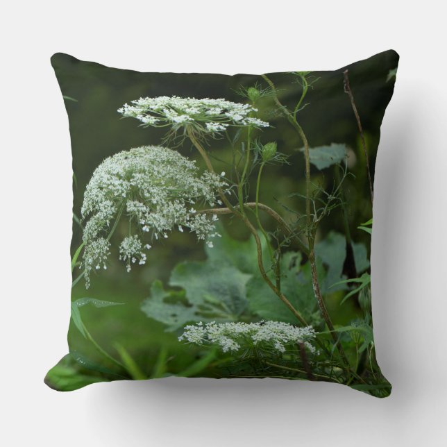 Spitze-Wildblume der Königin-Anne im Sommer Kissen (Vorderseite)