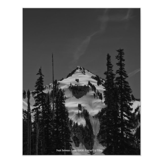 Spitze zwischen Bäumen Fotodruck (Vorne)