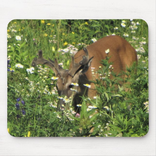 Spitzen-Dollar, der die Frühlings-Gärten grast Mousepad (Vorne)