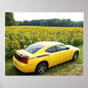 Spitzenbanane 2006 des Dodge-Ladegerät-R/T Poster
