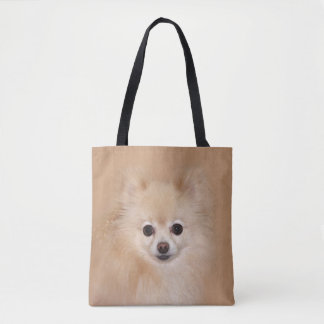 Spitzgesicht Tasche
