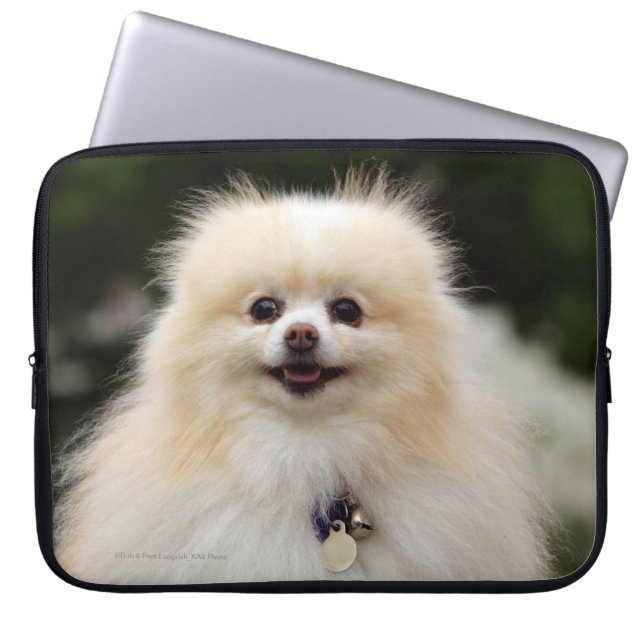 SpitzHeadshot 1 Laptopschutzhülle (Vorderseite)