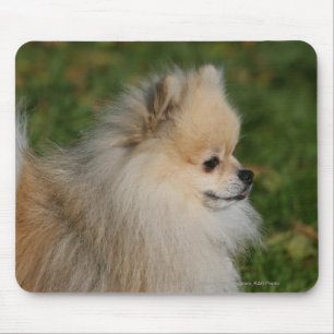 SpitzHeadshot 2 Mousepad