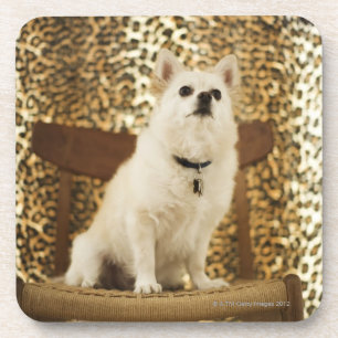 Spitzmischung Untersetzer