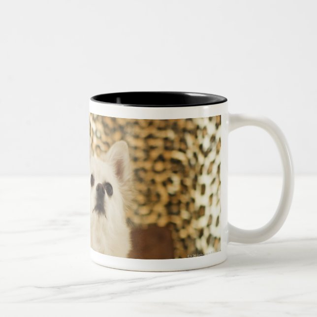 Spitzmischung Zweifarbige Tasse (Rechts)