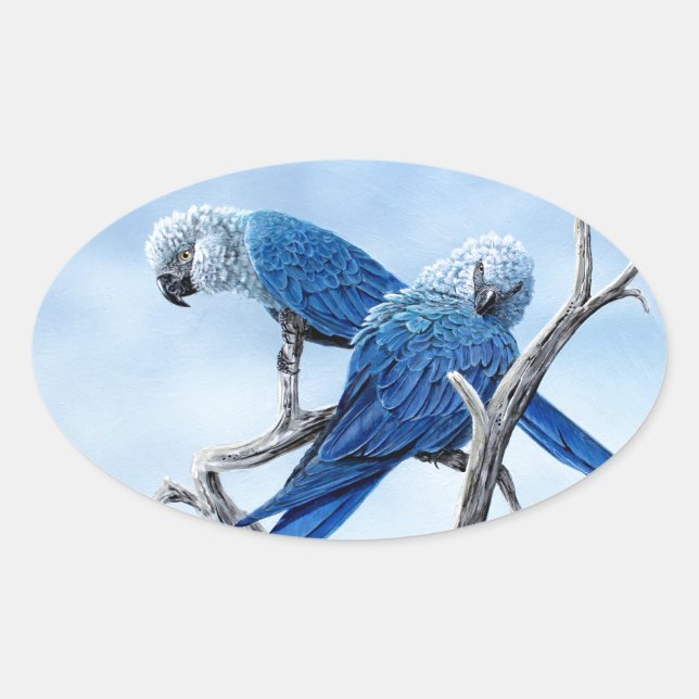 Spix macaw Der blaue Papagei des Films Rio. Ovaler Aufkleber (Vorderseite)