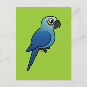 Spix's Macaw Postkarte