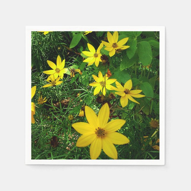 SPLASH DER SPRINGERNÄHRUNG SERVIETTE (Vorderseite)