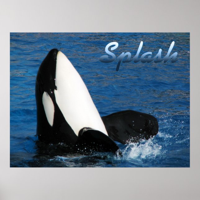 Splash Poster (Vorne)