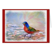 SPLASHING ROBIN RED BREAST