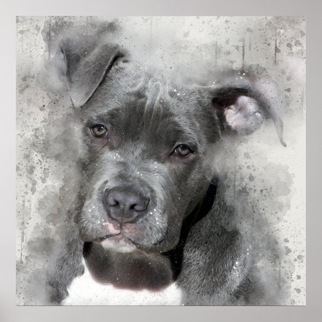 Splatter Effect Watercolor Painting Pit Bull Dog Poster (Vorne)