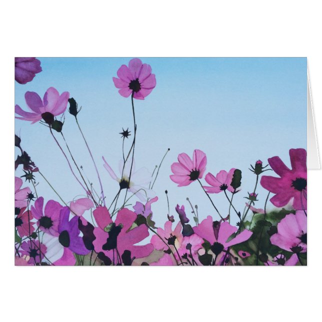 Splendeur de cosmos (Devant horizontal)