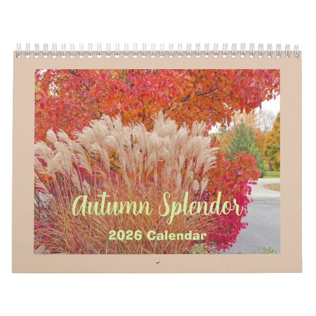 "SPLENDEUR DE L'AUTOMNE" 12 MOIS 2026 CALENDRIER (Protection)