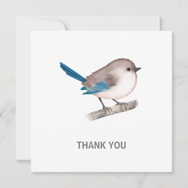 Splendid Fairy Wren Bird auf der Zweigstelle Dankeskarte (Vorderseite)