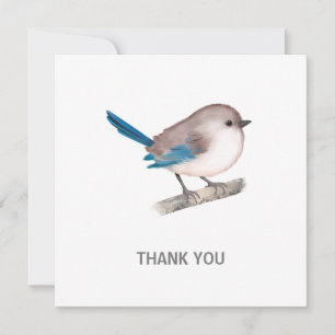 Splendid Fairy Wren Bird auf der Zweigstelle Dankeskarte