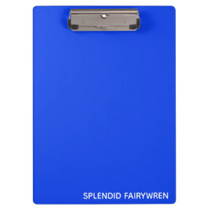 Splendid Fairywren Blue Color Name Klemmbrett