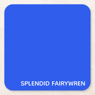 Splendid Fairywren Blue Color Name Rechteckiger Pappuntersetzer