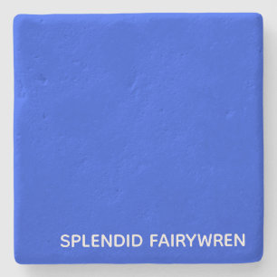 Splendid Fairywren Blue Color Name Steinuntersetzer