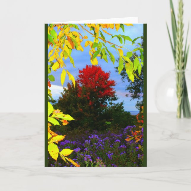 Splendor Automne Toute Carte D'Occasion (Devant)