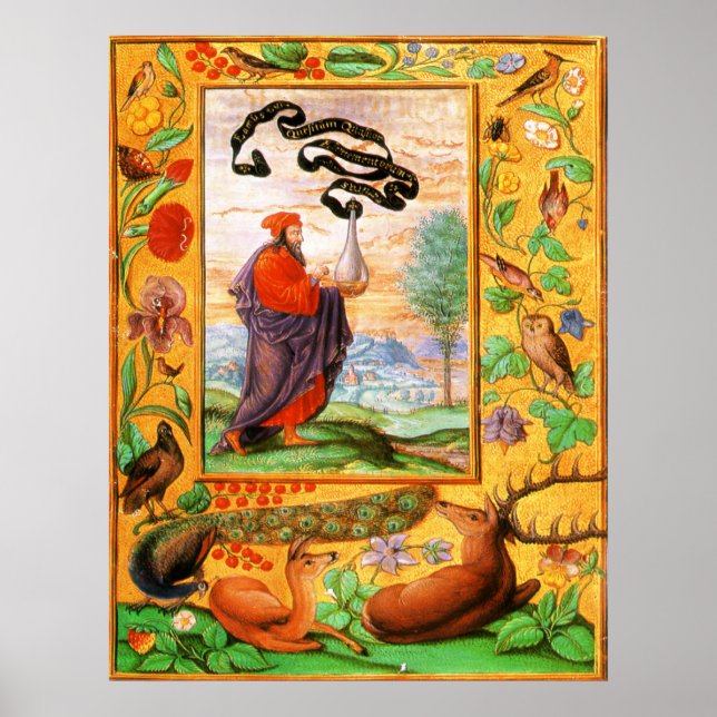 Splendor Solis: Philosoph mit Flask Poster (Vorne)