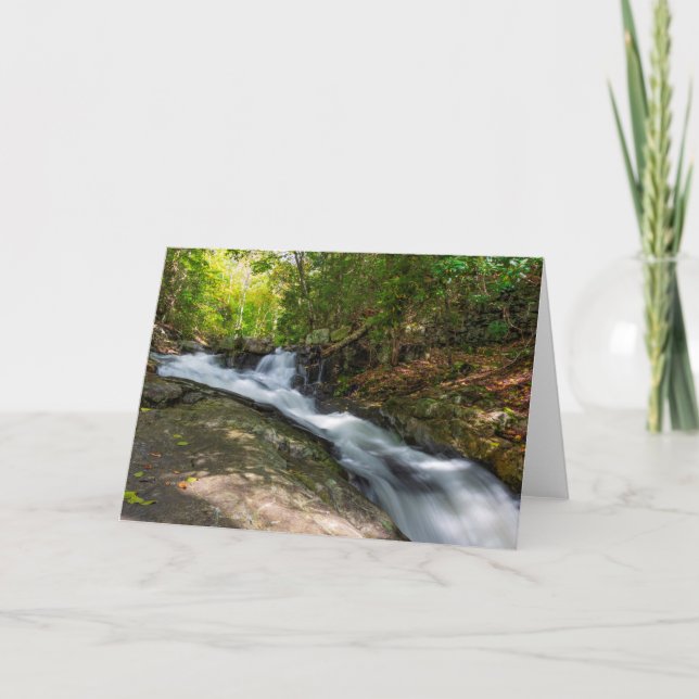 Split fällt auf Sand-Frühling-Run Karte (Vorderseite)