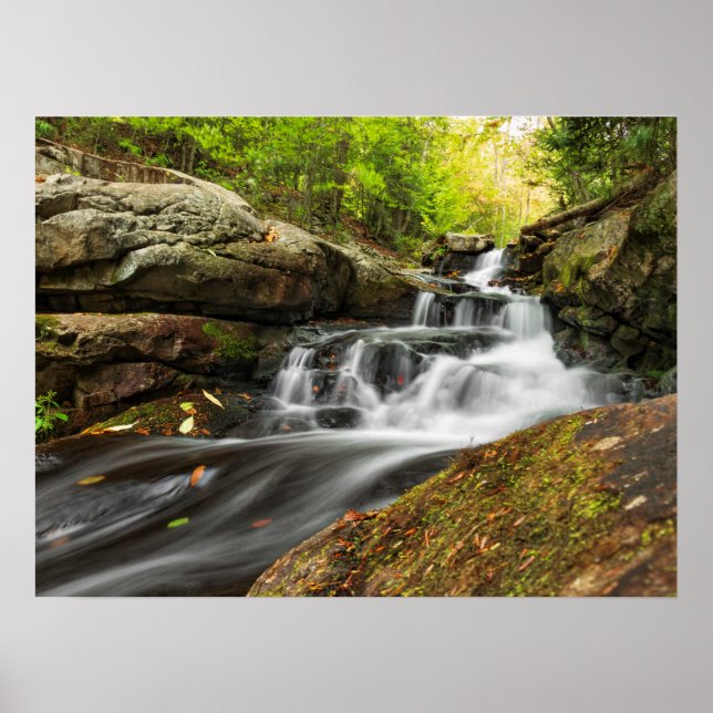 Split fällt auf Sand-Frühling-Run Poster (Vorne)