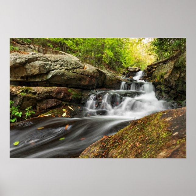 Split fällt auf Sand-Frühling-Run Poster (Vorne)