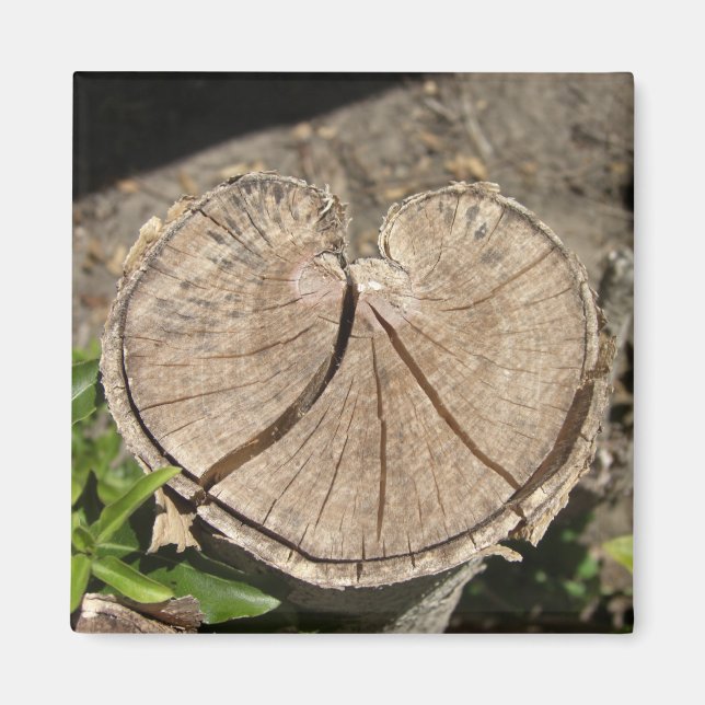 Split Heart Stump Magnete Magnet (Vorne)