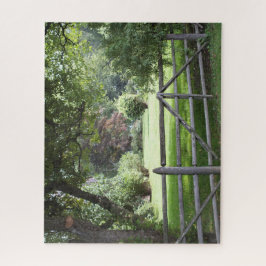 Split Rail Fence - green grass landscaped yard