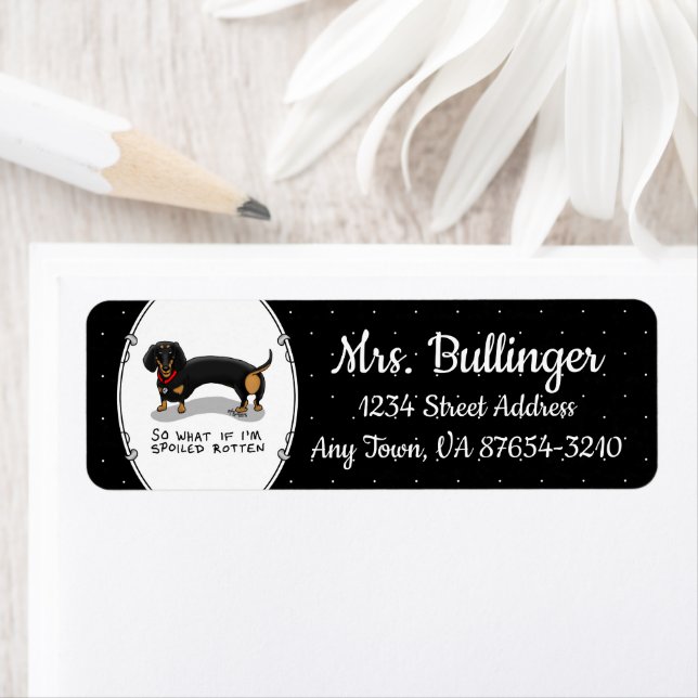 Spoiled Rotten Dackel (S schwarz & tan) Niedlicher (Insitu)