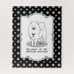 Spoiled Rotten Samoyed Hund Niedliche Höhenlage Fu