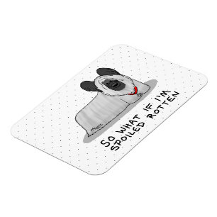 Spoiled Rotten Skye Terrier Dog (silber) Niedliche Magnet