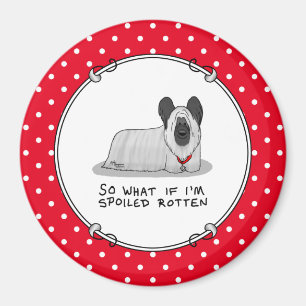 Spoiled Rotten Skye Terrier Dog (silber) Niedliche Magnet