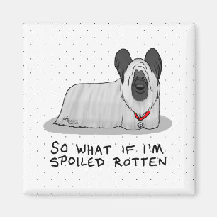 Spoiled Rotten Skye Terrier Dog (silber) Niedliche Magnet