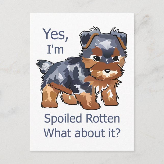 Spoiled Rotten Yorkie Postkarte (Vorderseite)